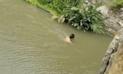 Người đàn ông “cố thủ” vài giờ dưới sông, ai nấy tưởng gặp chuyện, cuối cùng phát hiện lý do gây choáng
