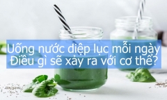 Uống nước diệp lục mỗi ngày: Điều gì sẽ xảy ra với cơ thể?