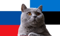 Dự đoán kết quả trận Slovakia vs Estonia, Nations League 2h45 ngày 20/11: Mèo tiên tri 