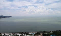 Người đàn ông nhảy xuống biển trốn nợ, cái kết vừa bi vừa hài