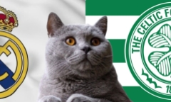 Nhận định soi kèo trận nữ Real Madrid vs Celtic, Champions League 23h45 ngày 17/10: Mèo tiên tri ai?