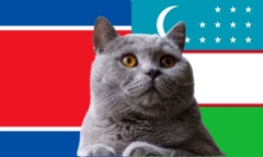Dự đoán kết quả trận Triều Tiên vs Uzbekistan, VL World Cup 19h ngày 19/11: Mèo tiên tri phe kẻ mạnh