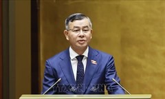Đề xuất đánh thuế 0,2% đất bỏ hoang