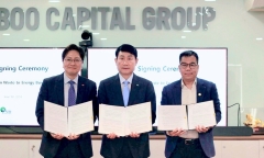 Bamboo Capital thắng lớn trong đợt tăng vốn, bán 99,99% cổ phiếu phát hành