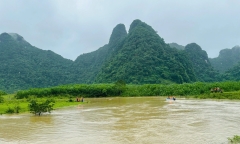 Tìm thấy thi thể nam sinh bị nước cuốn trôi khi dắt trâu đi tránh bão Bualoi