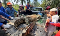 Người dân vây bắt