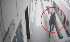 Clip: Giữa buổi học, nam sinh bất ngờ ra khỏi lớp nhảy xuống từ tầng 3