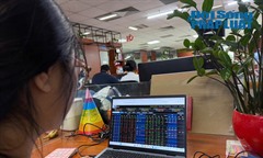 Vì sao Công ty cổ phần Tandoland bị xử phạt?