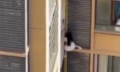 Clip: Người phụ nữ bất ngờ trèo ra cửa sổ căn hộ, hàng xóm hoang mang tột độ