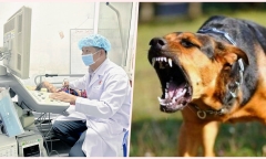 Tin tức đời sống mới nhất ngày 19/8: Cứu cụ bà 100 tuổi bị nhồi máu cơ tim nguy kịch