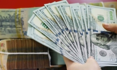 Tỷ giá USD hôm nay 25/10/2024: Tạm dừng đà tăng