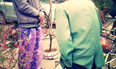 Câu chuyện mua hoa đào chiều cuối năm gây xúc động cư dân mạng