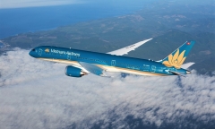 Vietnam Airlines lần đầu bán cành đào, cây mai Tết