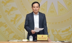 Phó Thủ tướng chốt thời hạn hoàn thành Đề án vị trí việc làm để cải cách tiền lương