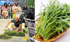 Loại rau ở Việt Nam rẻ bèo, sang Mỹ đắt hơn “tôm tươi”
