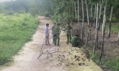 Vụ thi thể bé sơ sinh mất 1 chân ở Bình Phước: Người mẹ mới 17 tuổi