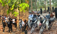 Triệt phá trường gà di động quy mô lớn ở Tây Ninh: Bất ngờ tiền công người cảnh giới