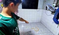 Bắt khẩn cấp người đàn ông hành hạ vợ dã man vì ghen tuông