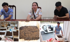 Bắt giữ 2 xe ô tô chở hơn 100kg giun đất tươi