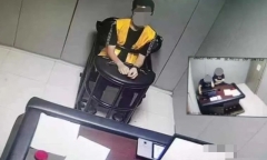 Vụ án li kỳ hơn cả phim: Cảnh sát tóm gọn tên trộm nhờ xác muỗi dính trên tường