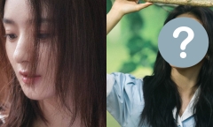 Cùng xuất thân từ nông thôn, một sao nữ được khen có khí chất hơn hẳn Triệu Lệ Dĩnh