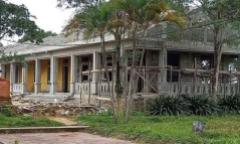 Diễn biến