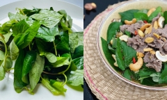 Loại rau gia vị mọc dại ở Việt Nam, có vị tanh nhưng là 
