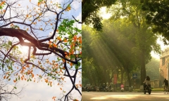 Tin tức dự báo thời tiết hôm nay 25/8: Bắc Bộ giảm mưa, trời chuyển nắng