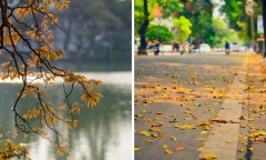 Tin tức dự báo thời tiết hôm nay 8/10: Hà Nội không mưa, trời mát mẻ, ngày nắng