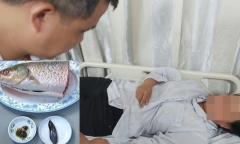 Tin rằng mật cá trắm có khả năng bồi bổ, 2 người ngộ độc nặng