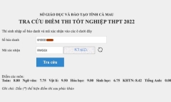 Bộ GD&ĐT yêu cầu báo cáo vụ học sinh giỏi bị điểm 0 tiếng Anh do ngủ quên