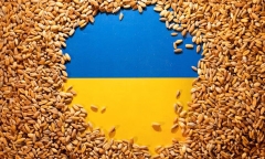 5 nước EU nhất trí nối lại quá trình vận chuyển ngũ cốc của Ukraine