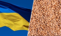 3 nước EU phản ứng thế nào trước đe dọa khởi kiện của Ukraine?