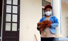 Cảm động bé gái 8 tuổi đạp xe mang gà, gạo và bí đỏ tới ủng hộ khu cách ly