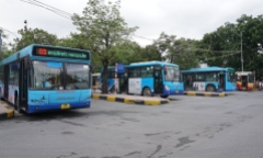 Dừng xe ở điểm đón khách của xe bus có bị xử phạt không?