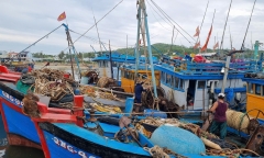 Bão số 1 có khả năng mạnh thêm, Quảng Nam, Quảng Ngãi khẩn trương ứng phó