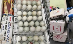 Tiết lộ mức phạt gây 