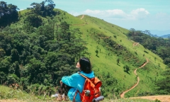 Cách nấu cháo bồ câu bằng nồi cơm điện