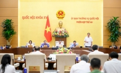 Cử tri và nhân dân lo lắng, bức xúc trước tình trạng buôn bán, sản xuất sữa giả, thuốc giả