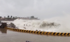 Đà Nẵng sau bão số 13 Kalmaegi: Loạt cây ven biển bật gốc, đường phố ngập rác