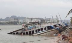 Bão số 3 “quần thảo” Quảng Ninh, hơn 20 tàu du lịch ở Tuần Châu bị chìm