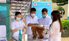 Gia Lai: Một học sinh vừa tử vong sau 2 tháng bị chó cắn