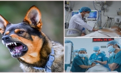 Tin tức đời sống mới nhất ngày 30/8: Bé 8 tuổi tử vong sau gần 4 tháng bị chó cắn