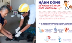 Đồng Nai: Hai người phụ nữ bị chó béc-giê dại cắn