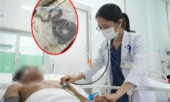 Lên núi bắt ong về bán lấy tiền mua sữa cho con, người đàn ông bị rắn hổ chúa cắn
