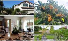 Những hình ảnh về tổ ấm mới của Thanh Hương sau ly hôn