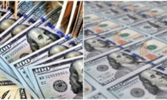 Tỷ giá USD hôm nay 16/8: USD trong nước bật tăng, giá bán của NHNN vượt 25.000 VND