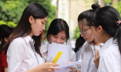 Đáp án đề thi KHTN - Vật lý Hóa Học Sinh học mã đề 206 tốt nghiệp THPT 2024 mới nhất, chính xác nhất