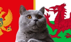 Nhận định soi kèo trận Wales vs Montenegro, Nations League 1h45 ngày 15/10: Mèo tiên tri quyết tâm