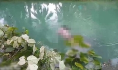 Clip: Đi hái rau muống, người phụ nữ ở Indonesia bị cá sấu tấn công tử vong